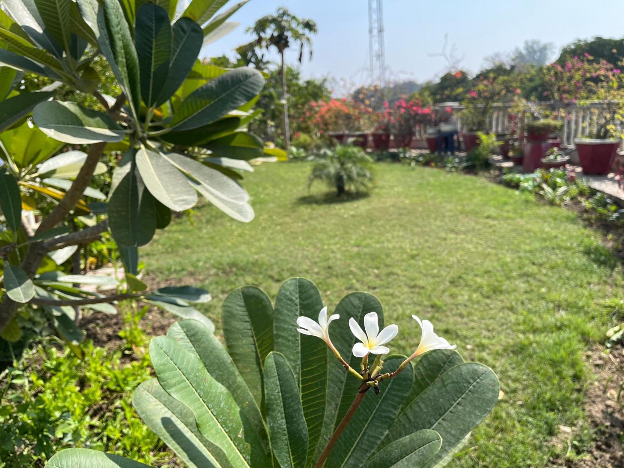 Mulberry Garden Hotel Varanasi Exterior photo